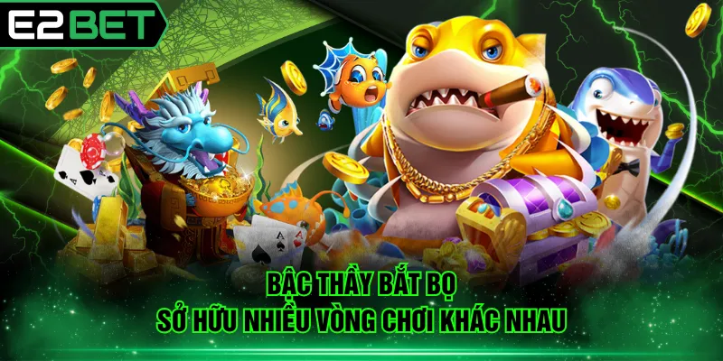 Bậc Thầy Bắt Bọ sở hữu nhiều vòng chơi khác nhau