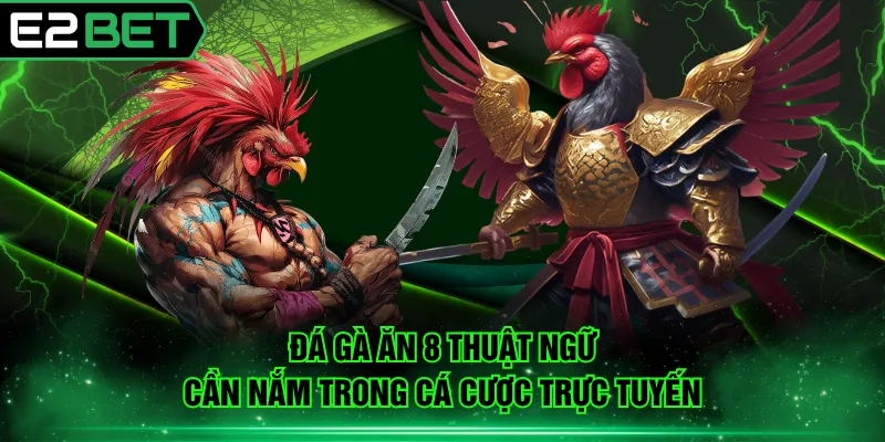 Đá gà ăn 8 thuật ngữ cần nắm trong cá cược trực tuyến