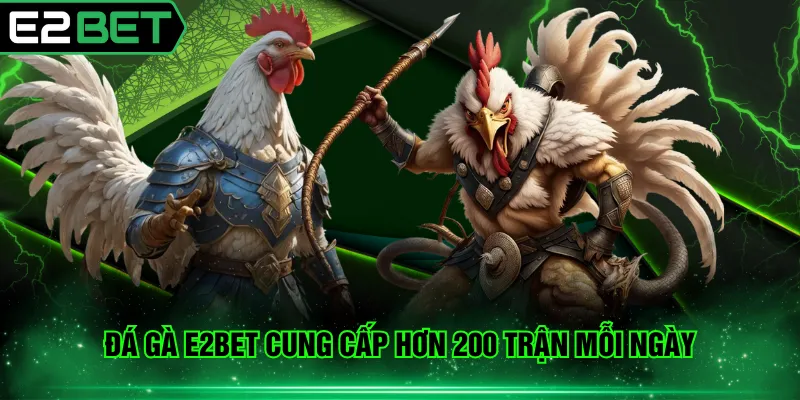 Đá gà E2BET cung cấp hơn 200 trận mỗi ngày