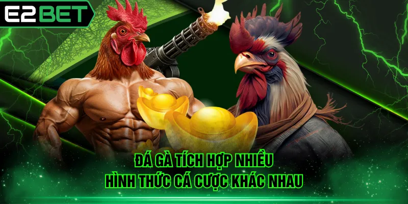 Đá gà tích hợp nhiều hình thức cá cược khác nhau
