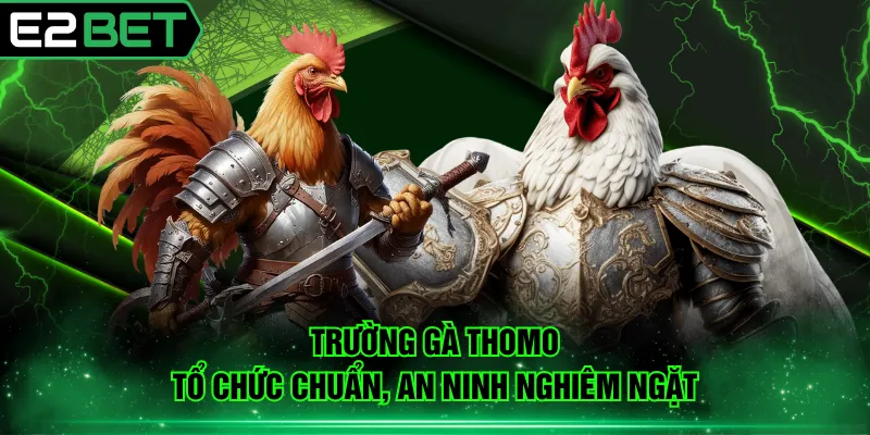 Trường gà Thomo tổ chức chuẩn, an ninh nghiêm ngặt