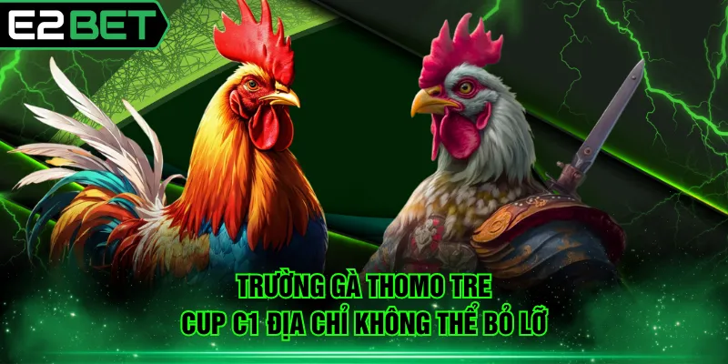 Trường gà Thomo tre cup C1 địa chỉ không thể bỏ lỡ